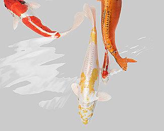 《Among Us》Epic限免期间送出超1500万份